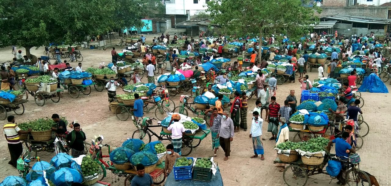 রাজশাহীতে আমের মণ ৬৫০ টাকা!